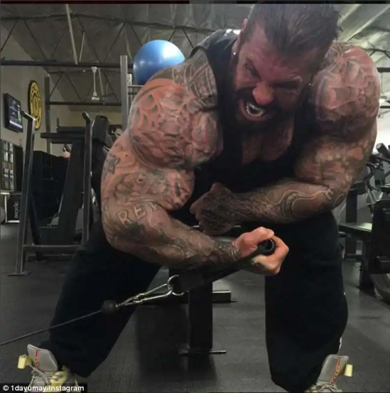 rich piana