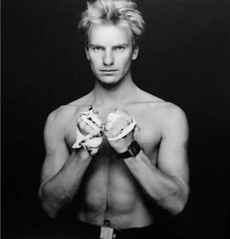 sting   foto di terry oneill