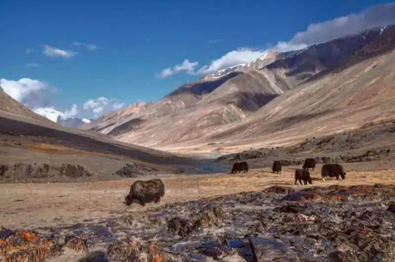 tajik national park tajikistan