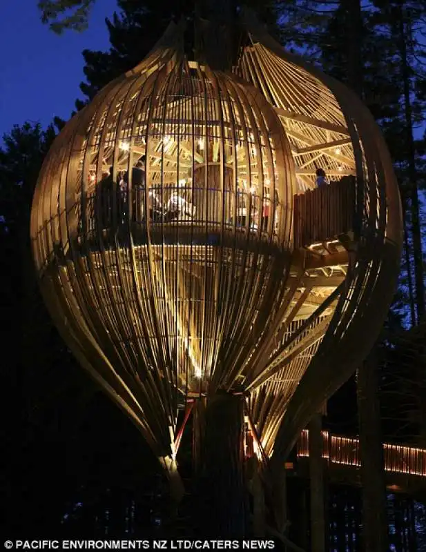 tree house di legno a auckland