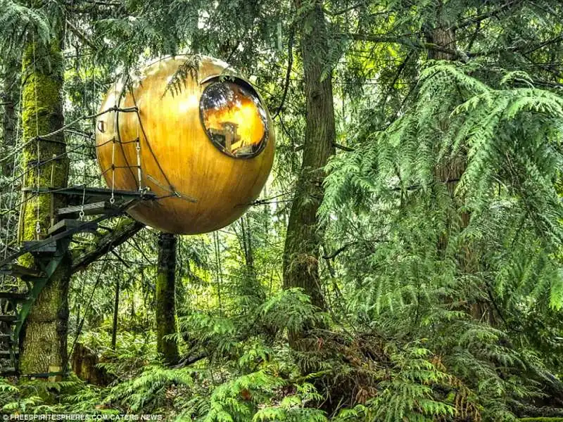 tree house sfera in canada