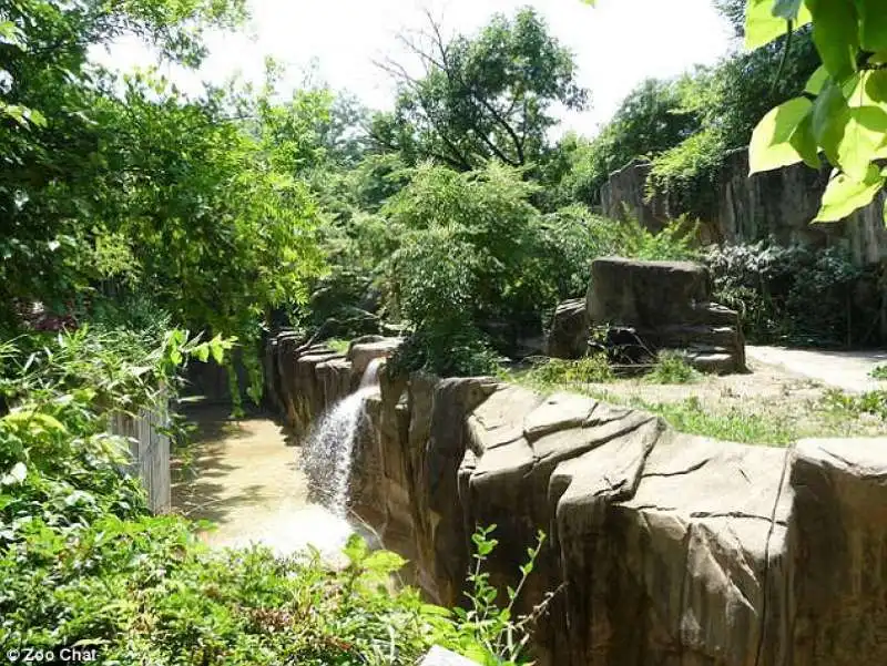 ZOO DI CINCINNATI