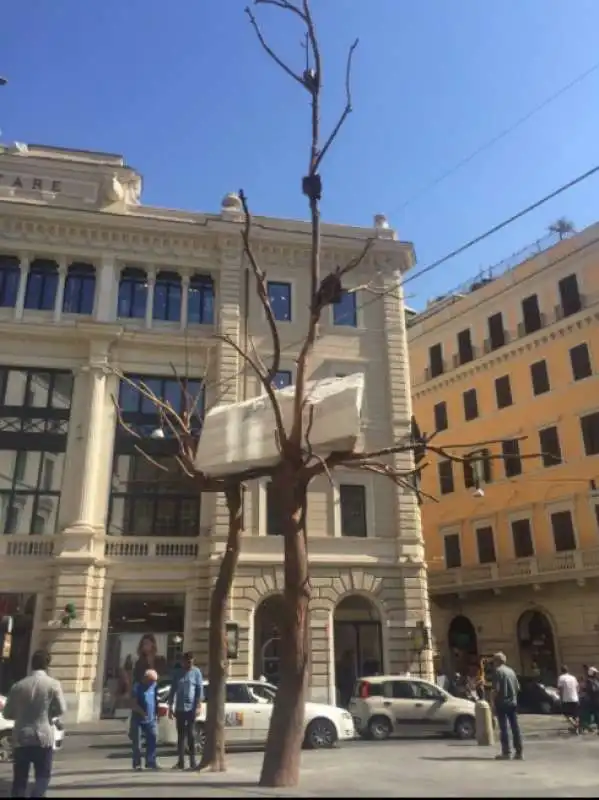 albero di giuseppe penone a largo goldoni  3