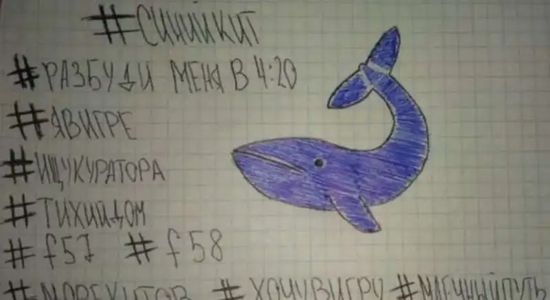 BLUE  WHALE