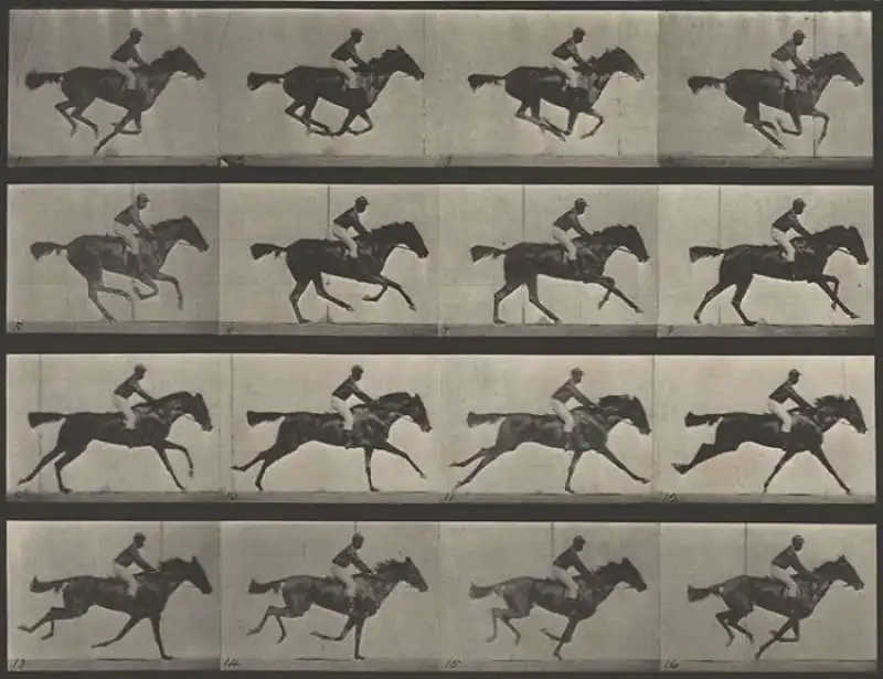 muybridge cavallo in movimento