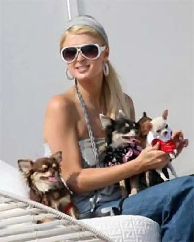 PARIS HILTON