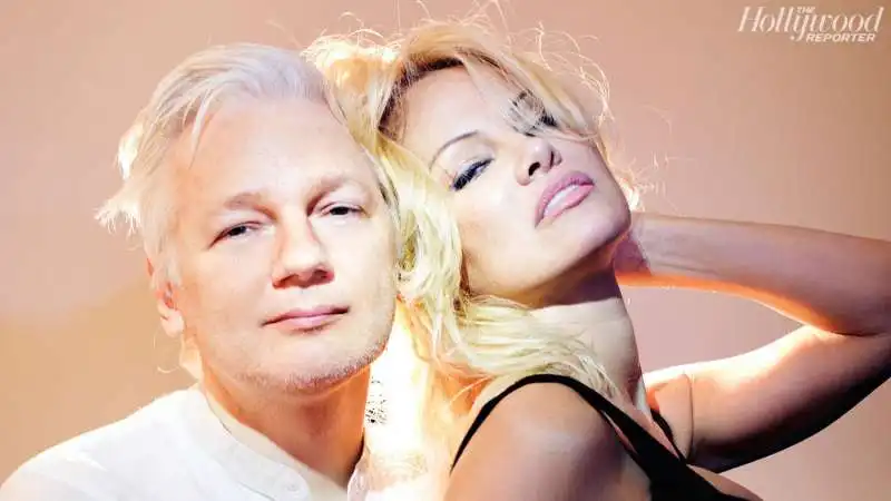 assange anderson