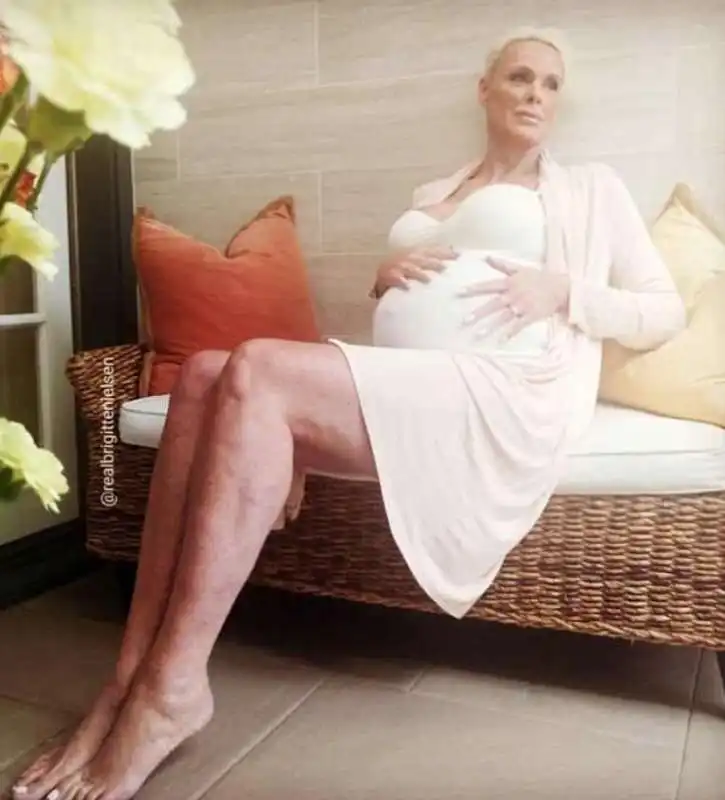 brigitte nielsen 3