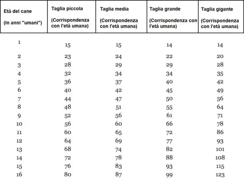 come si calcola l'eta' di un cane 7