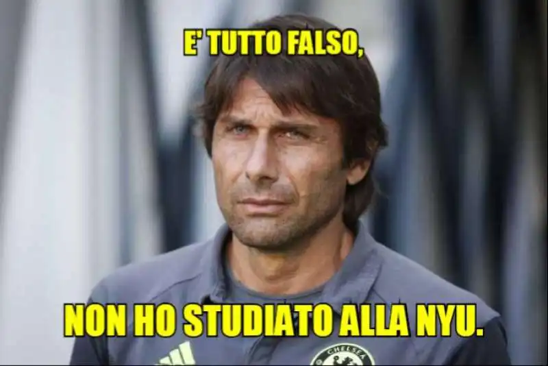 CONTE NYU