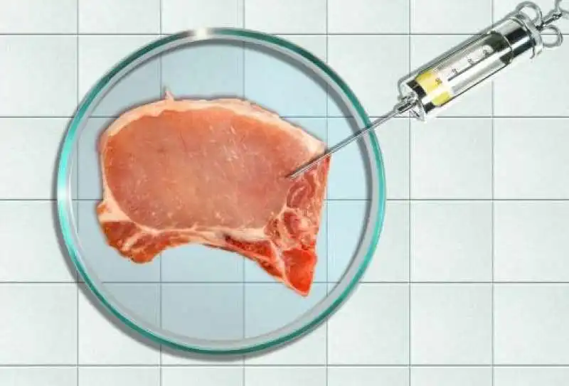 farmaci nella carne