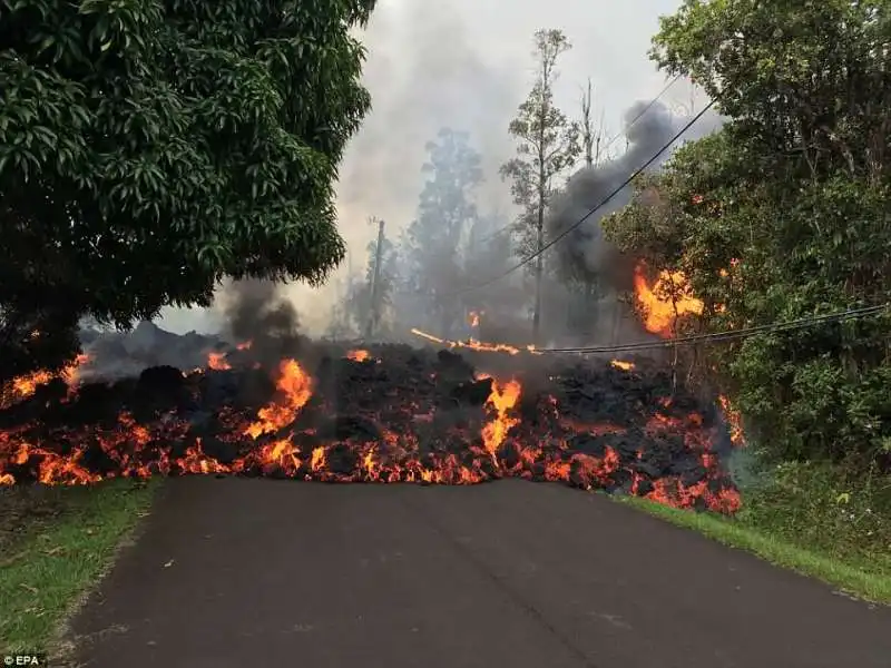 hawaii   muro di lava 13