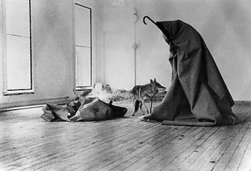 joseph beuys