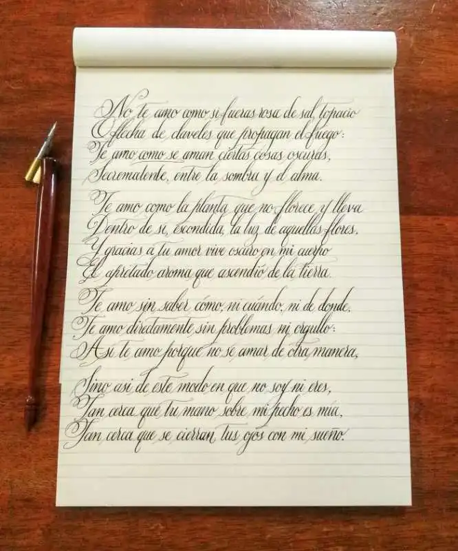 pablo neruda in copperplate