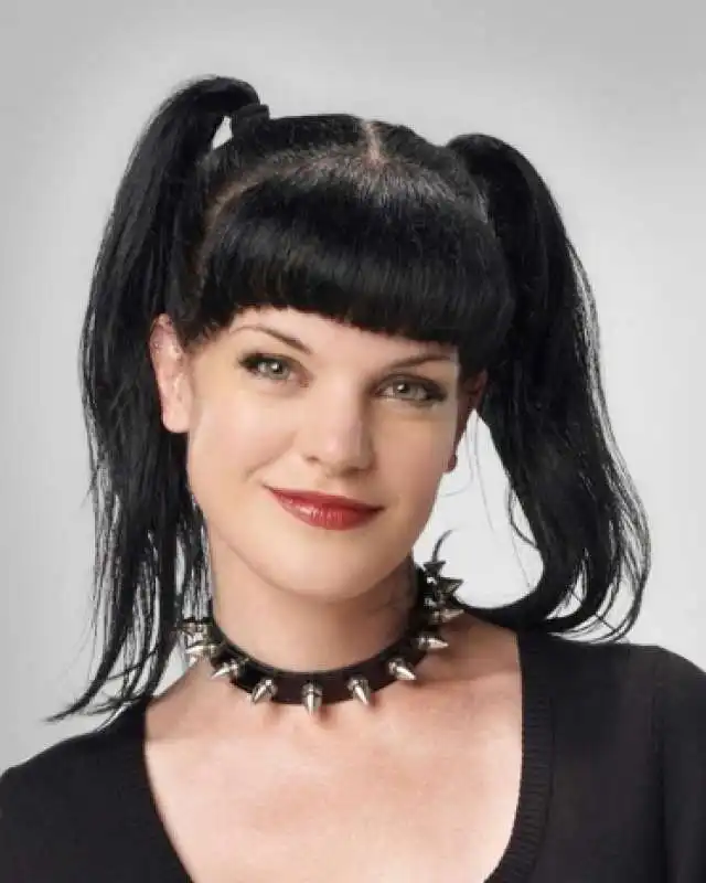 pauley perrette 2