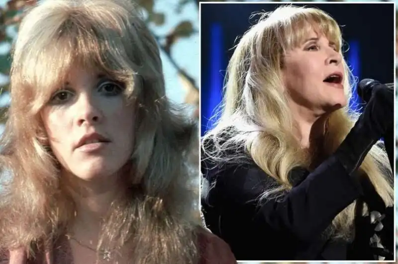 stevie nicks 1