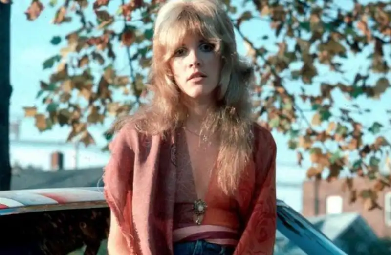 stevie nicks 5