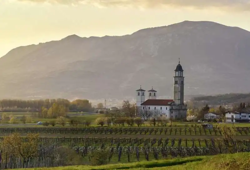 valle di vipava in slovenia