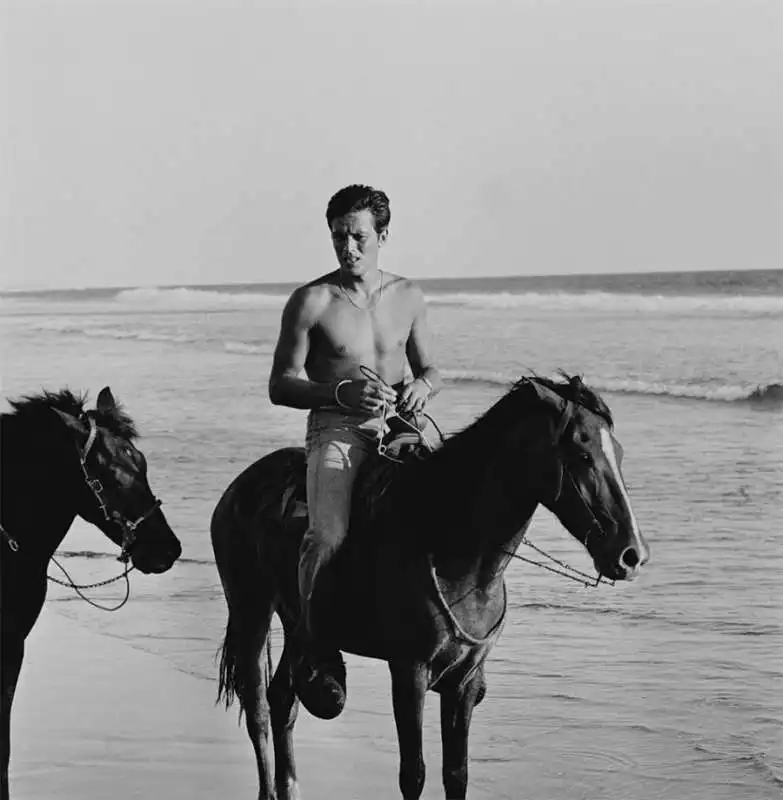 alain delon al mare