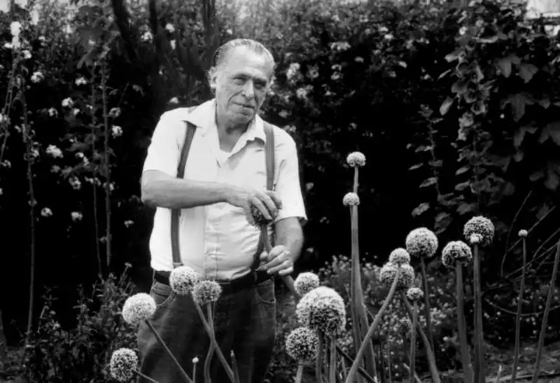 charles bukowski 13