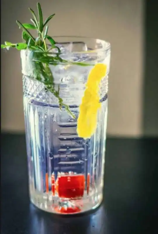 gin tonic 1