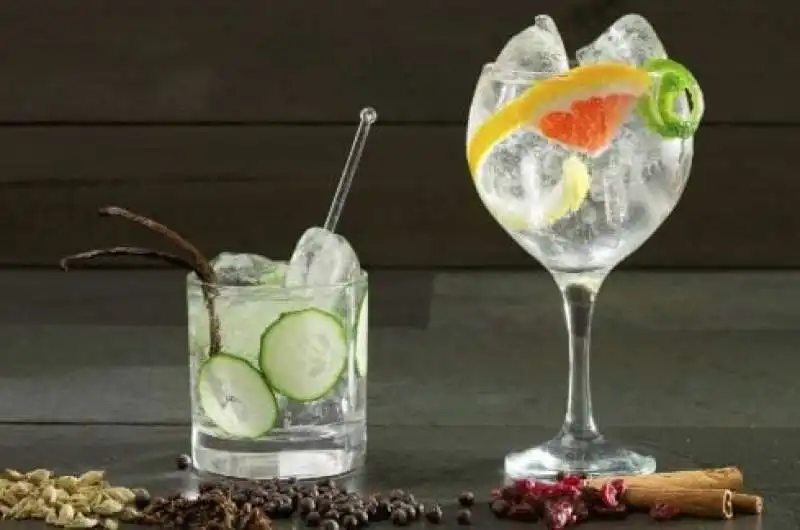 gin tonic 4