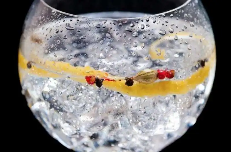 gin tonic 5