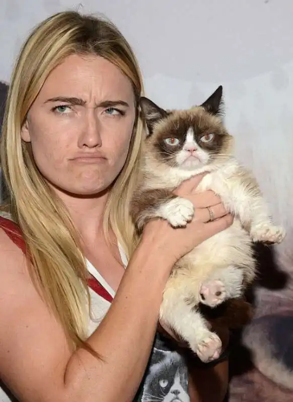 grumpy cat 4