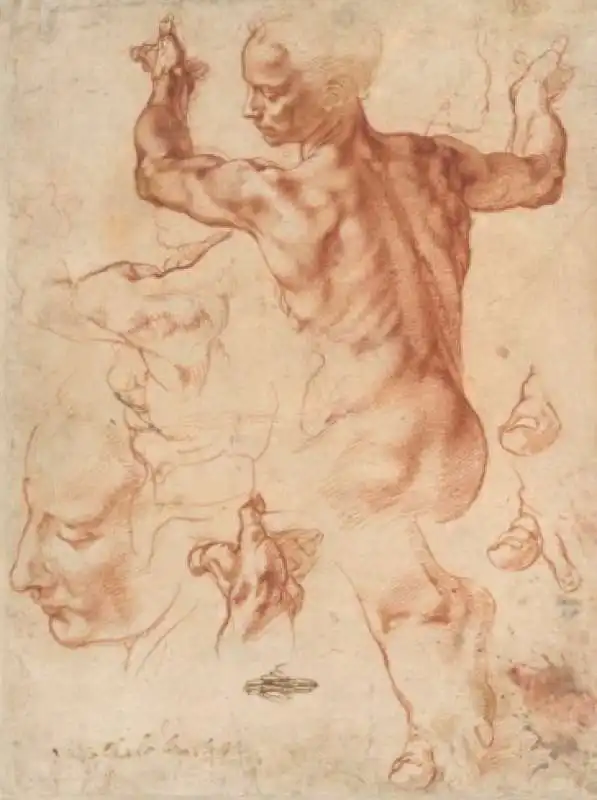 i disegni di michelangelo 1