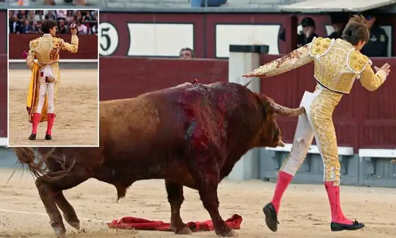 il matador juan leal 8