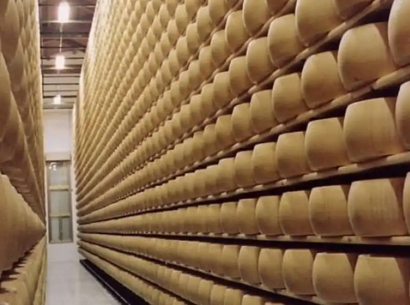 parmigiano reggiano 1