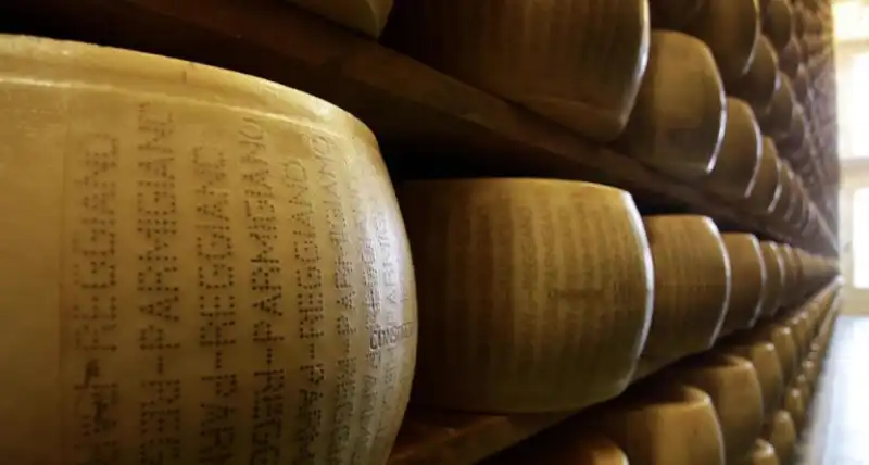 parmigiano reggiano