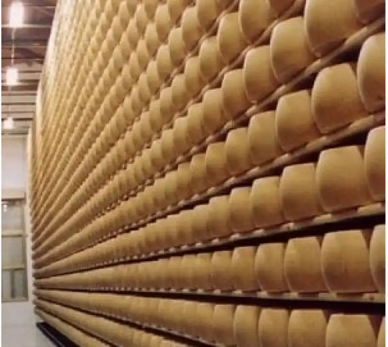 parmigiano reggiano