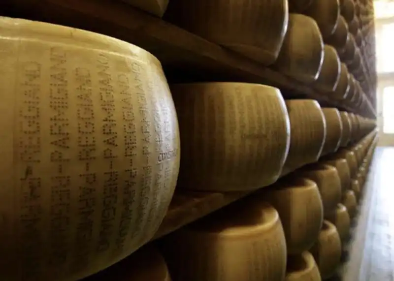 parmigiano reggiano 2