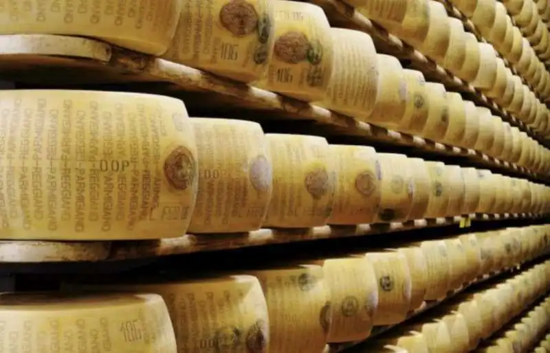 parmigiano reggiano 4