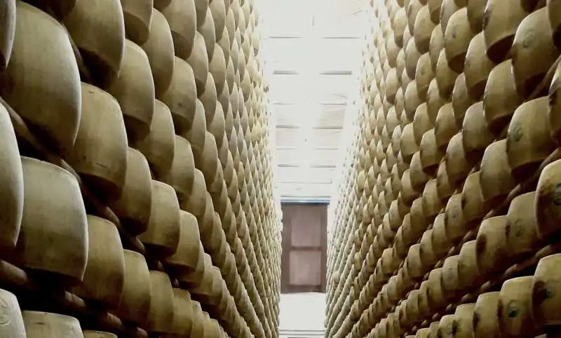 parmigiano reggiano 5