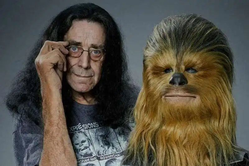 PETER MAYHEW 