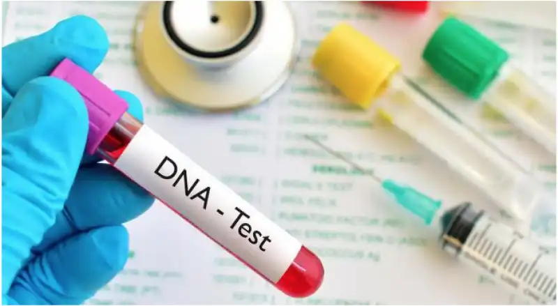 test dna