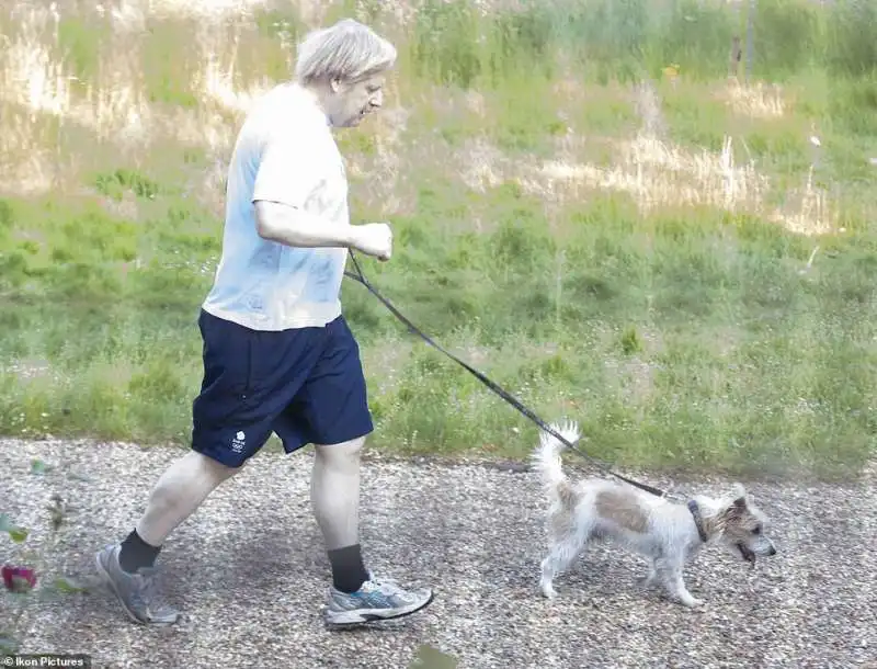 boris johnson a spasso con il cane dilyn