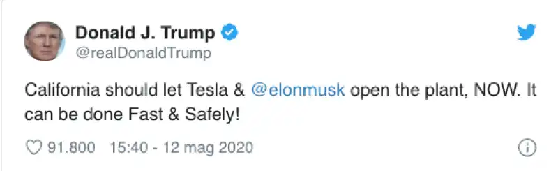 donald trump difende elon musk