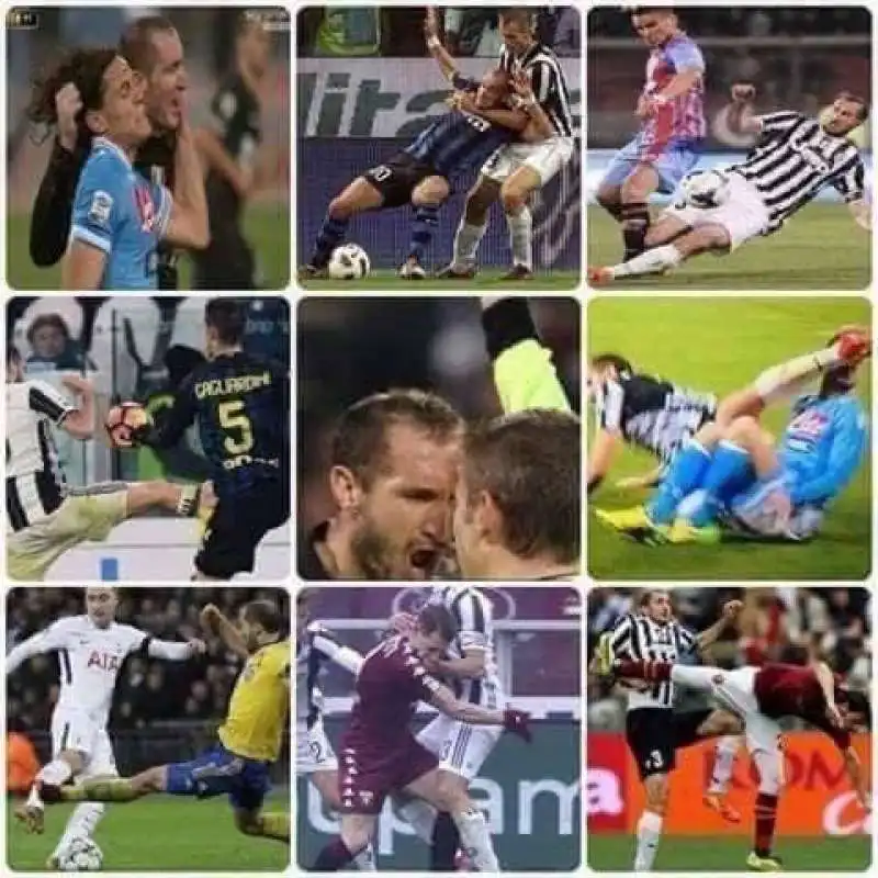 I FALLACCI DI GIORGIO CHIELLINI