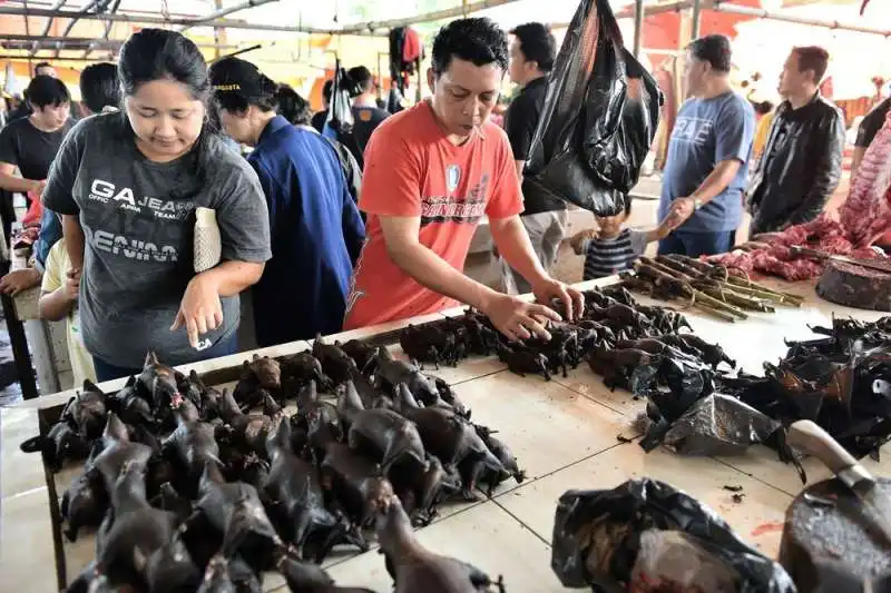 il mercato di tomohon, in indonesia  11