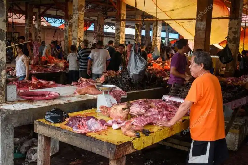 il mercato di tomohon, in indonesia  13