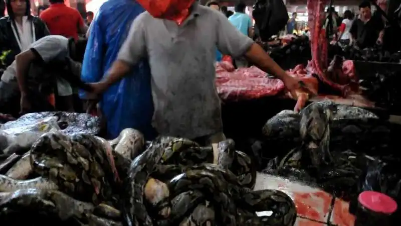 il mercato di tomohon, in indonesia  14