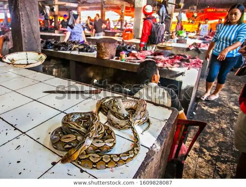 il mercato di tomohon, in indonesia  3