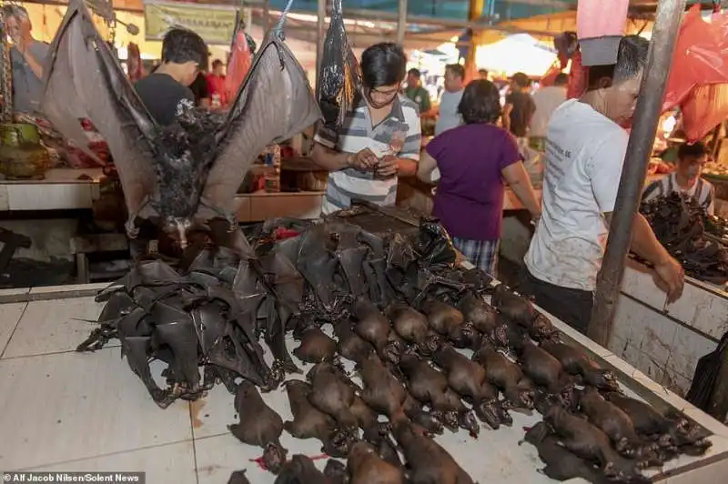 il mercato di tomohon, in indonesia  4