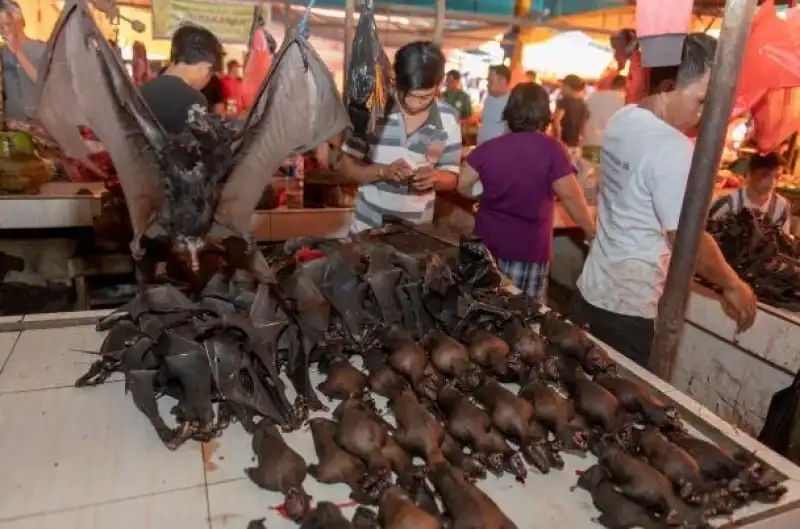 il mercato di tomohon, in indonesia  6