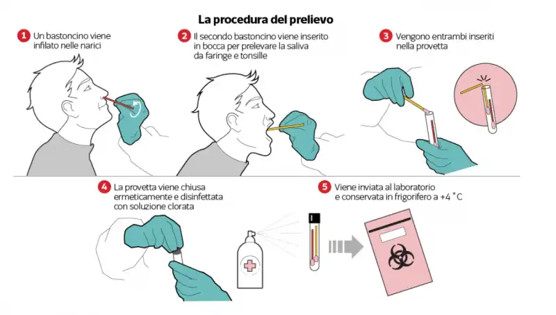 la procedura del tampone