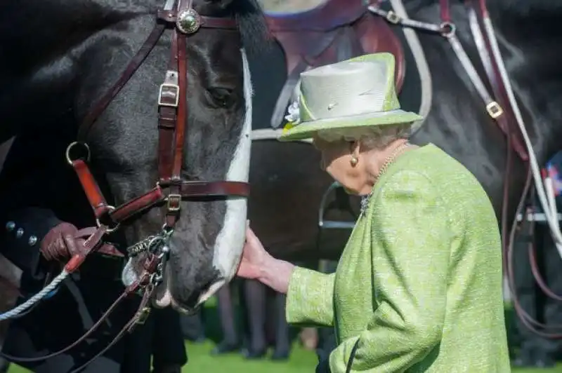 la regina elisabetta e i cavalli  15