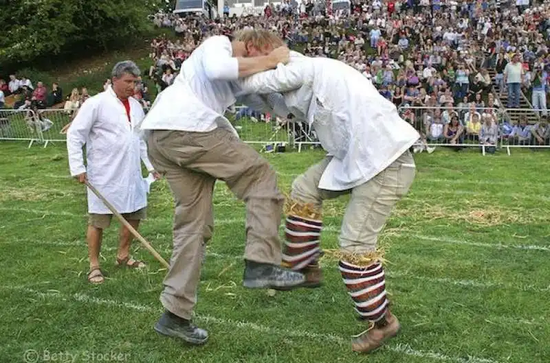 shin kicking championship 